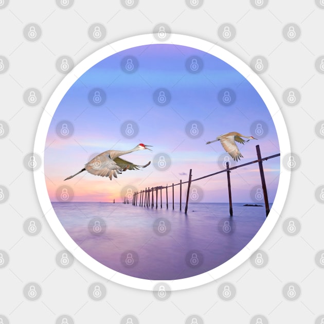 Sandhill Crane Birds in Flight Magnet by lauradyoung